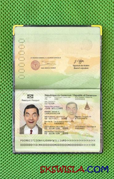 Kamerun zdjęcie do paszportu pliki PSD, skan i fotografowany obraz